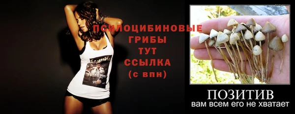 трава Каменка