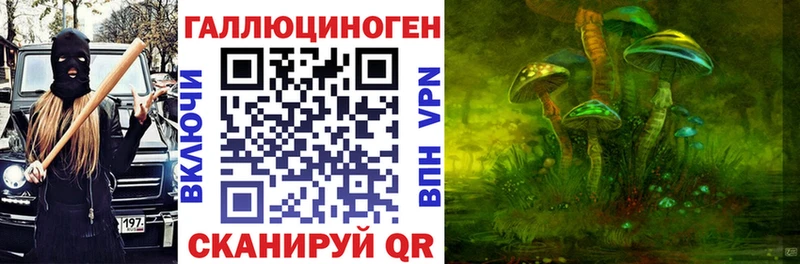 цена наркотик  Элиста  Псилоцибиновые грибы Psilocybe 